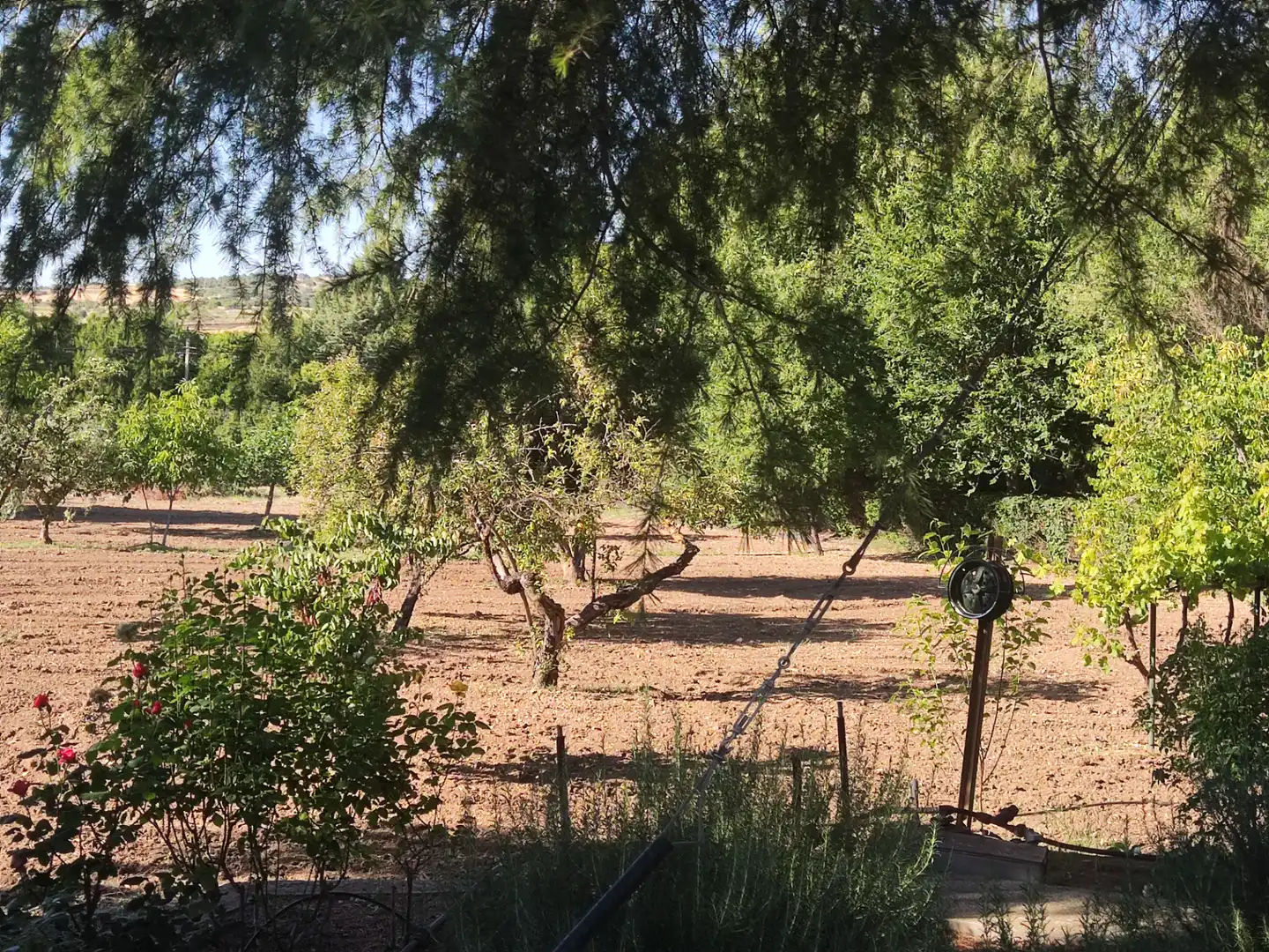 Casa o xalet en venda en Ciudad Real amb Aire condicionat, Calefacció i Jardí privat