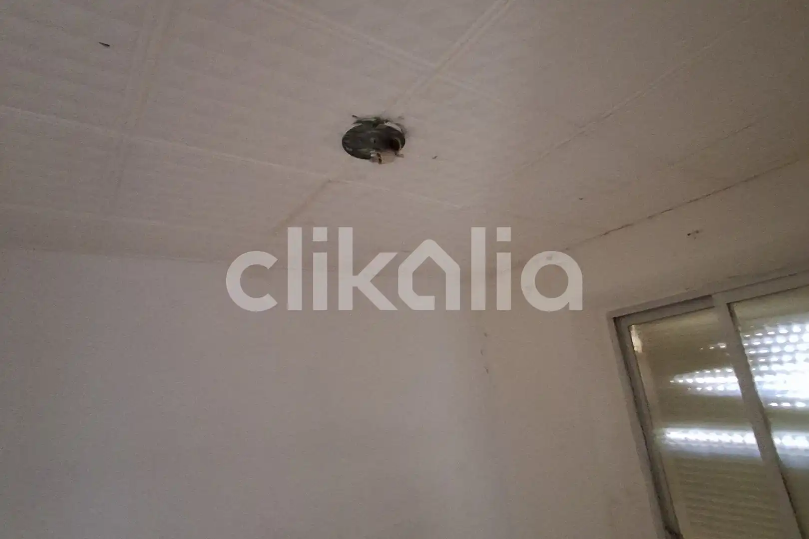 Appartement à vendre à Centre - Zona Alta, imagen 3