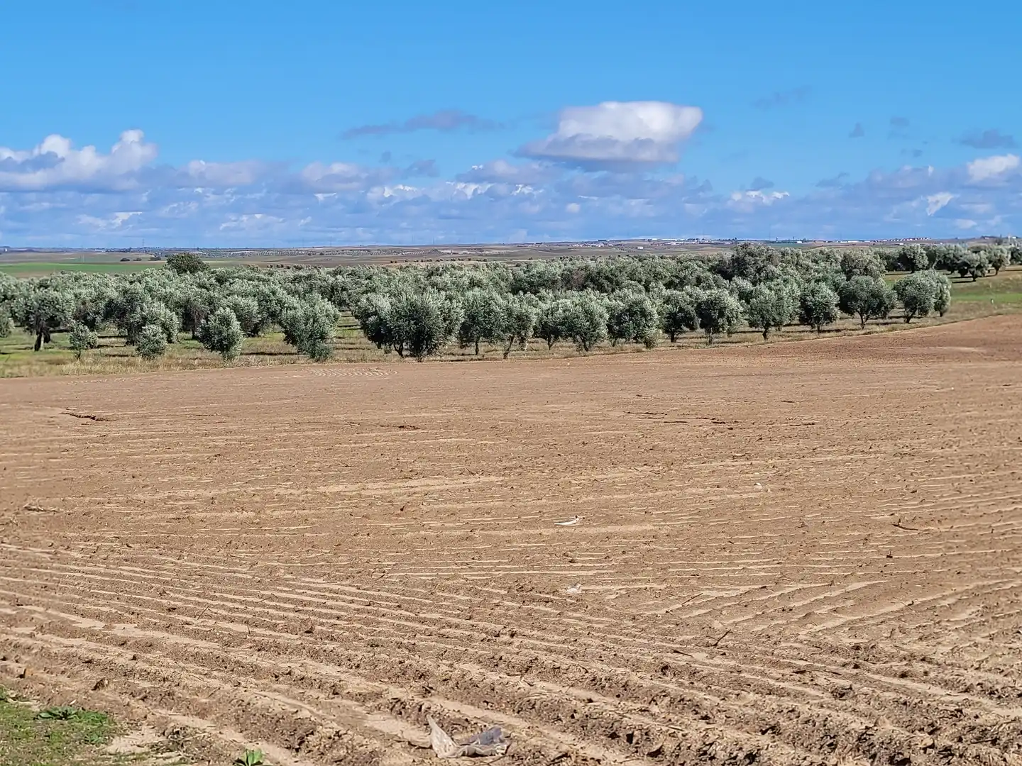 Rural land for sale in Santo Domingo-Caudilla, imagen 7