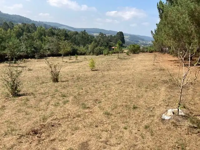 Casa o xalet en venda en Carballo amb Terrassa i Forn