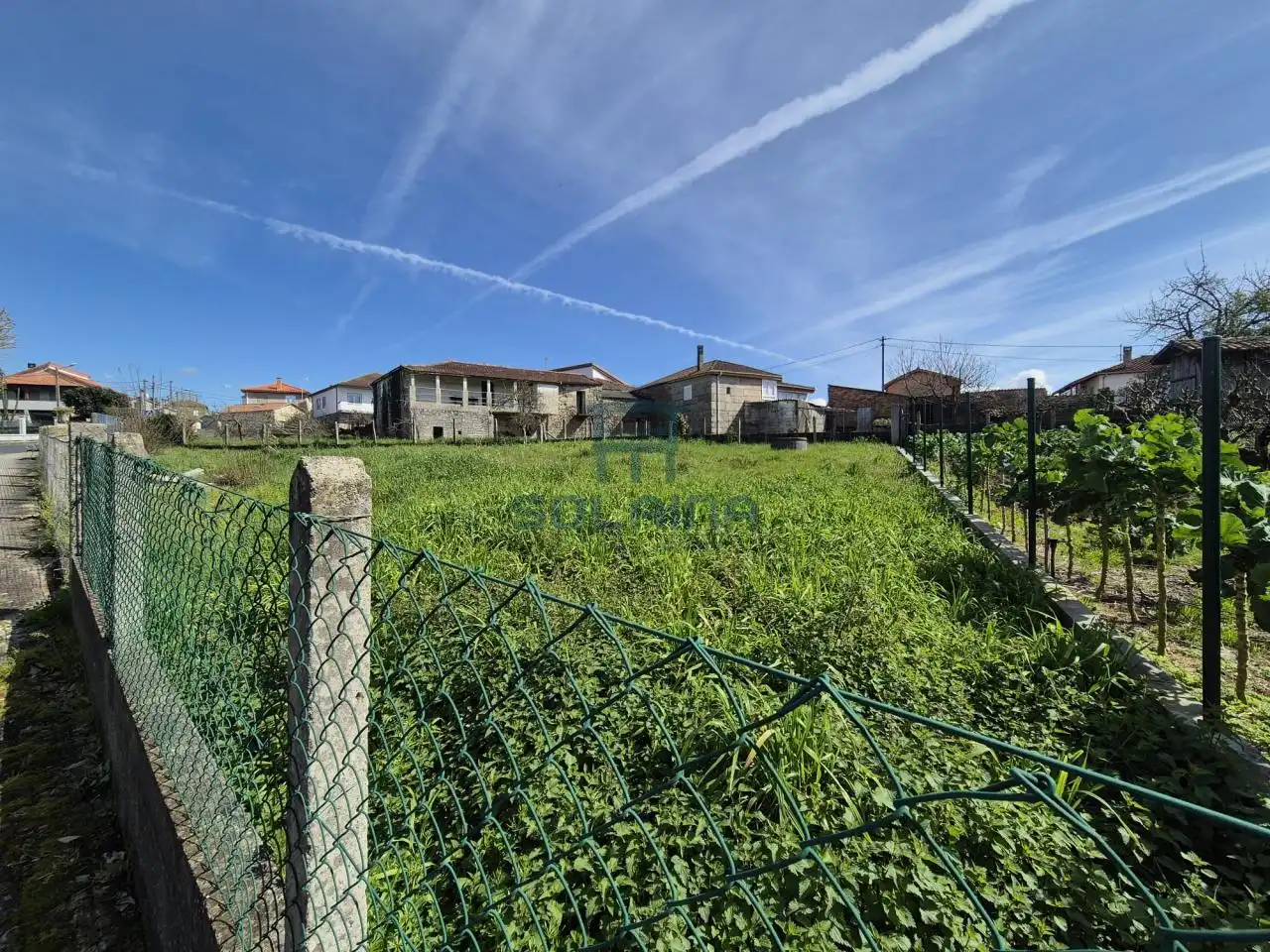 Terrenos y solares en venta en Coles, imagen 2