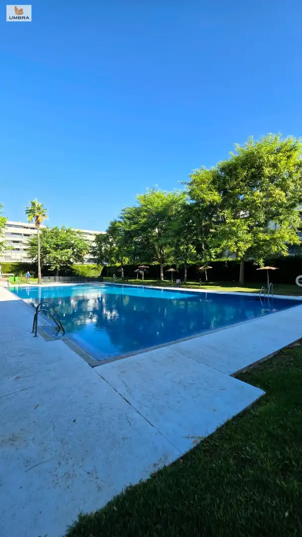 Ático con terraza en venta en DE LAS VIÑAS, imagen 31