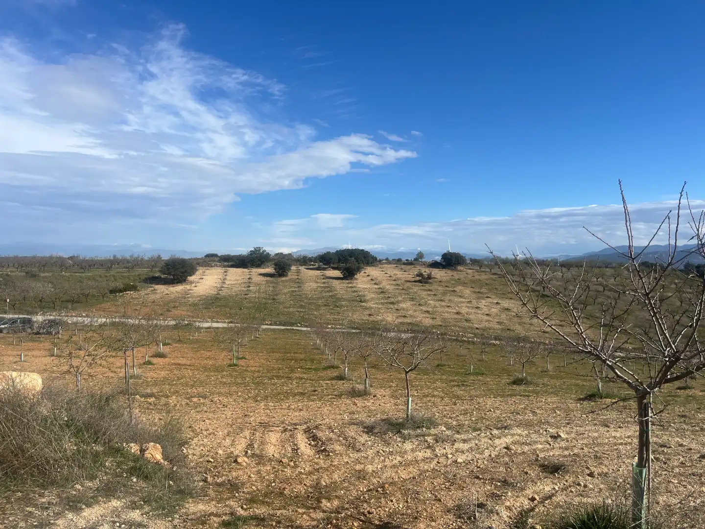 Rustikales Grundstück zum Verkauf in Camino de la Sierra, imagen 7