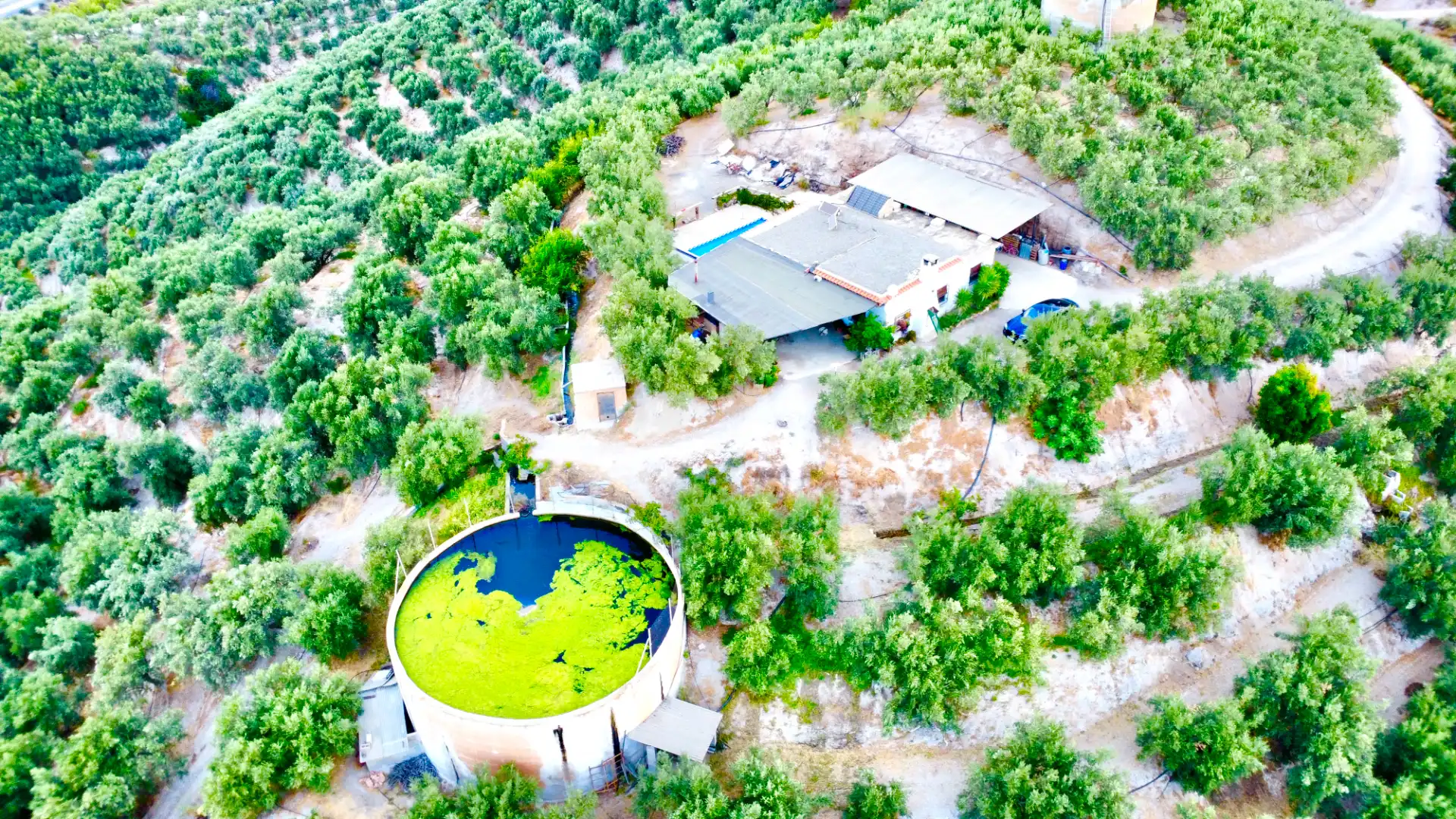 Villa mit Pool zum Verkauf in N/A, imagen 53