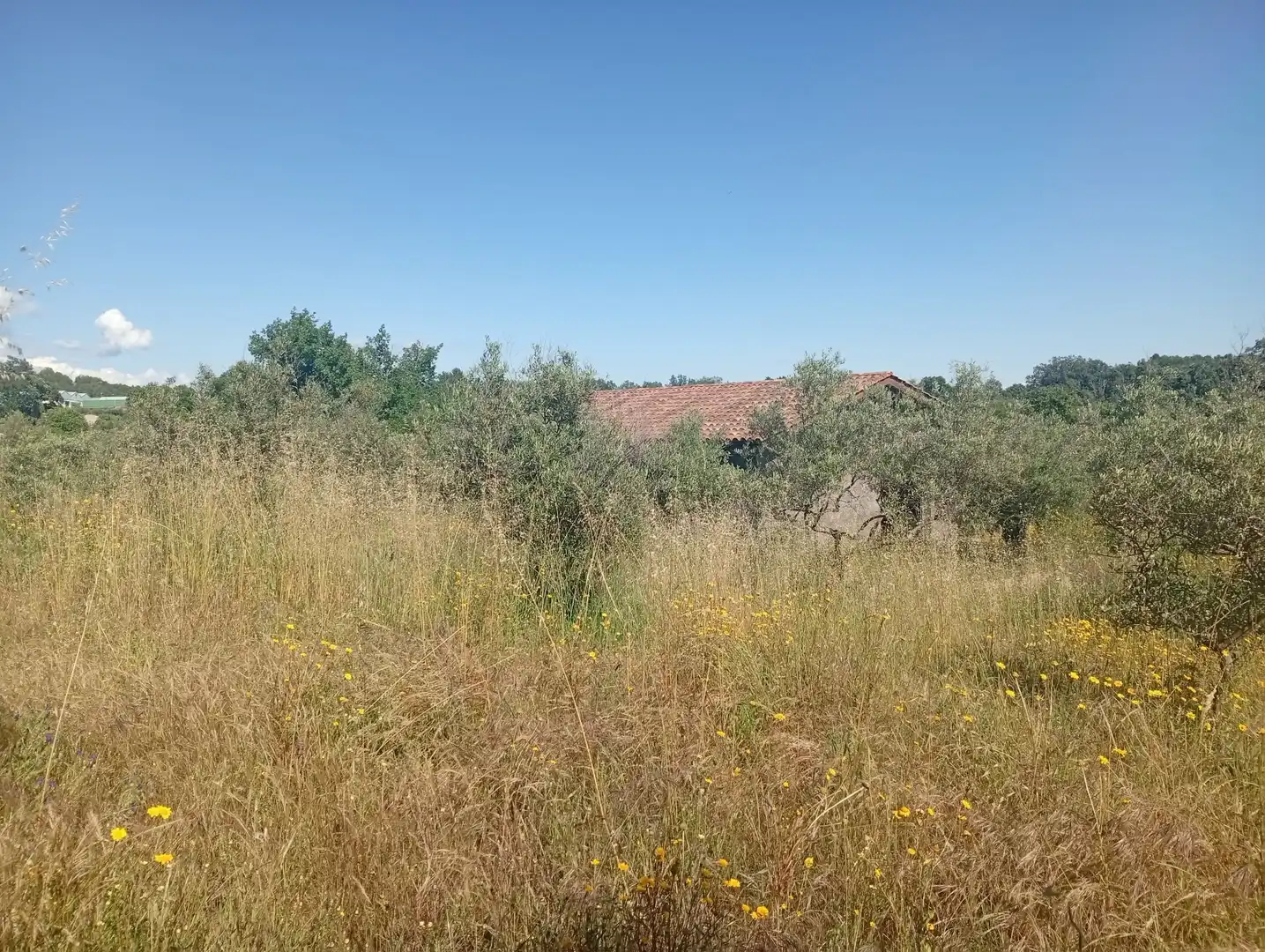 Maison à vendre à Villanueva de la Vera, imagen 69