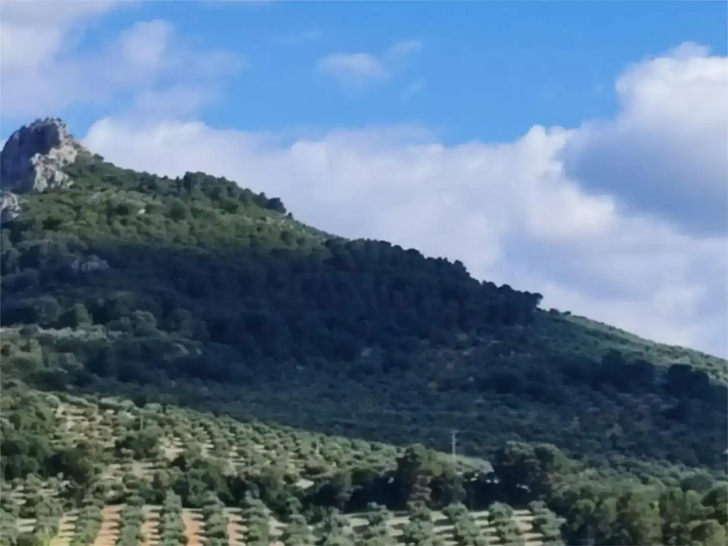 Terreno en venta en Jaén