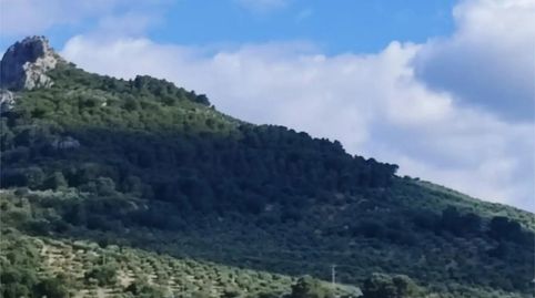 Foto 2 de Terreny en venda a Carretera de Otíñar, 29, Alcantarilla - La Glorieta, Jaén Capital
