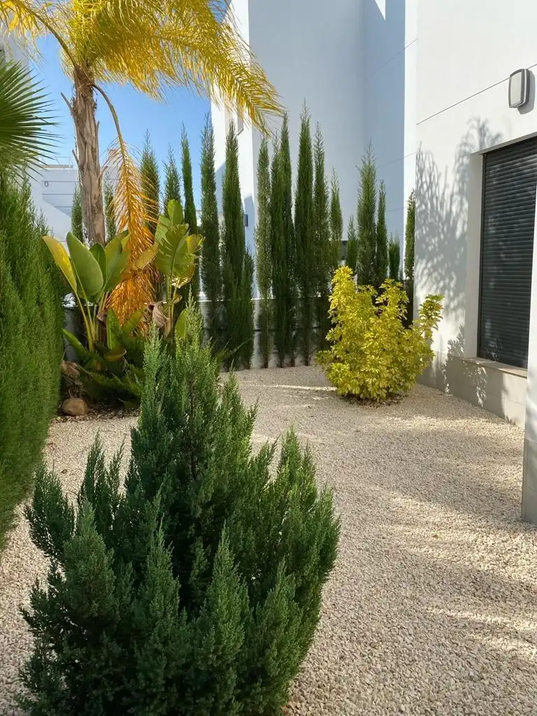 Chalet con piscina en venta en Rojales, imagen 10