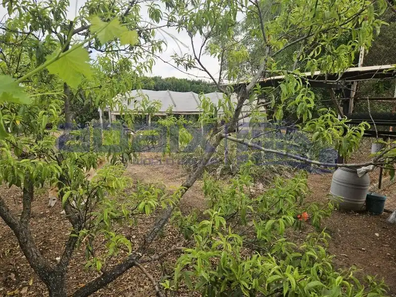 Finca rústica en venda en Ciudad Real amb Aire condicionat, Parquet i Traster