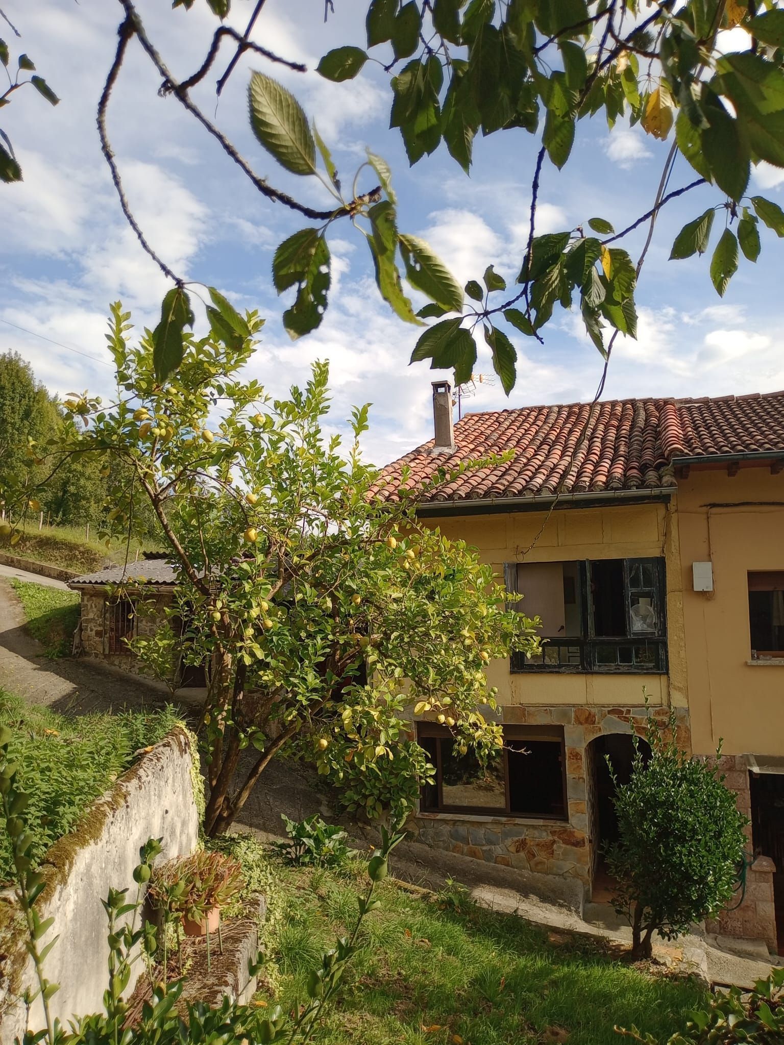 Jardí de Casa o xalet en venda en Piloña