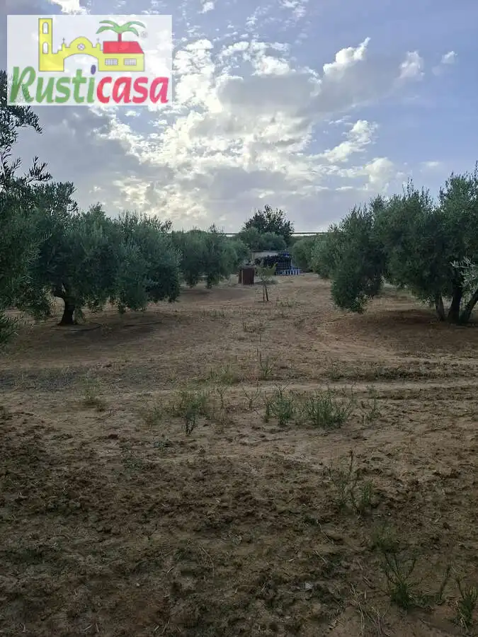 Xalet amb piscina en venda a Frescura, imagen 11