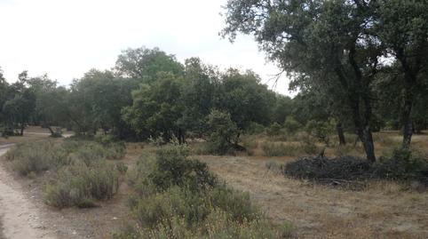 Foto 4 de Terreno en venta en M-510, 1, Chapinería, Madrid