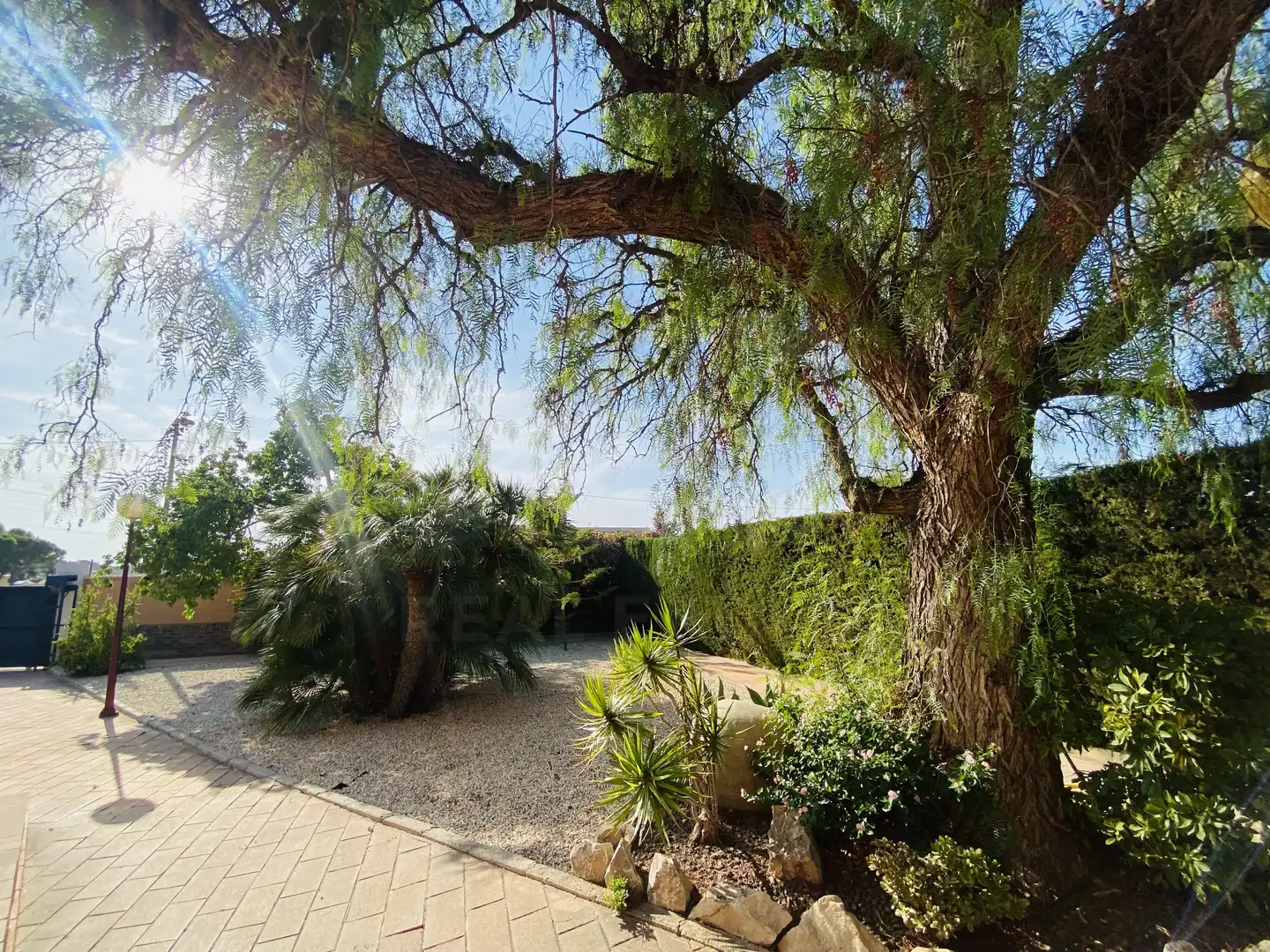 Chalet con piscina en venta en Partidas de Alicante, imagen 15