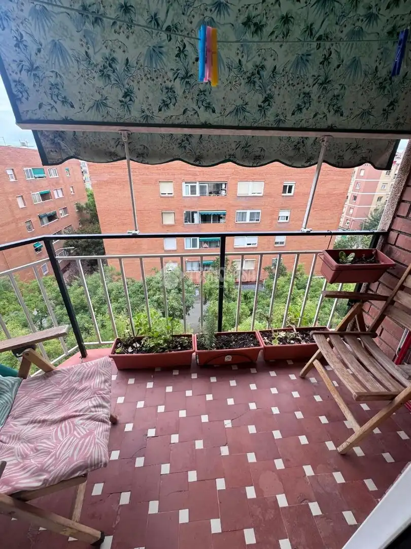 Piso con terraza en venta en Centre - Can Nadal, imagen 15