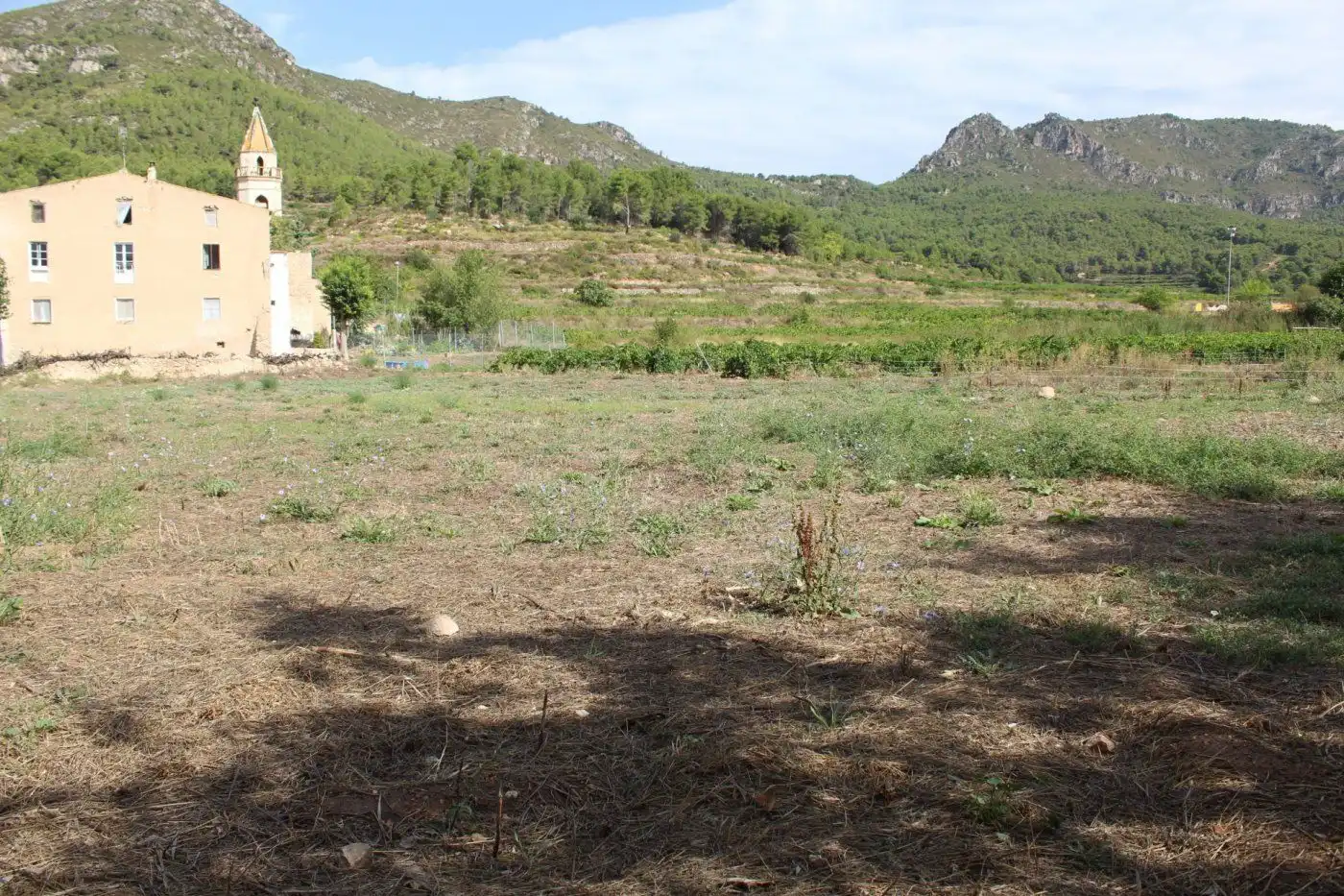 Terreny rústic en venda a esglesia de l'