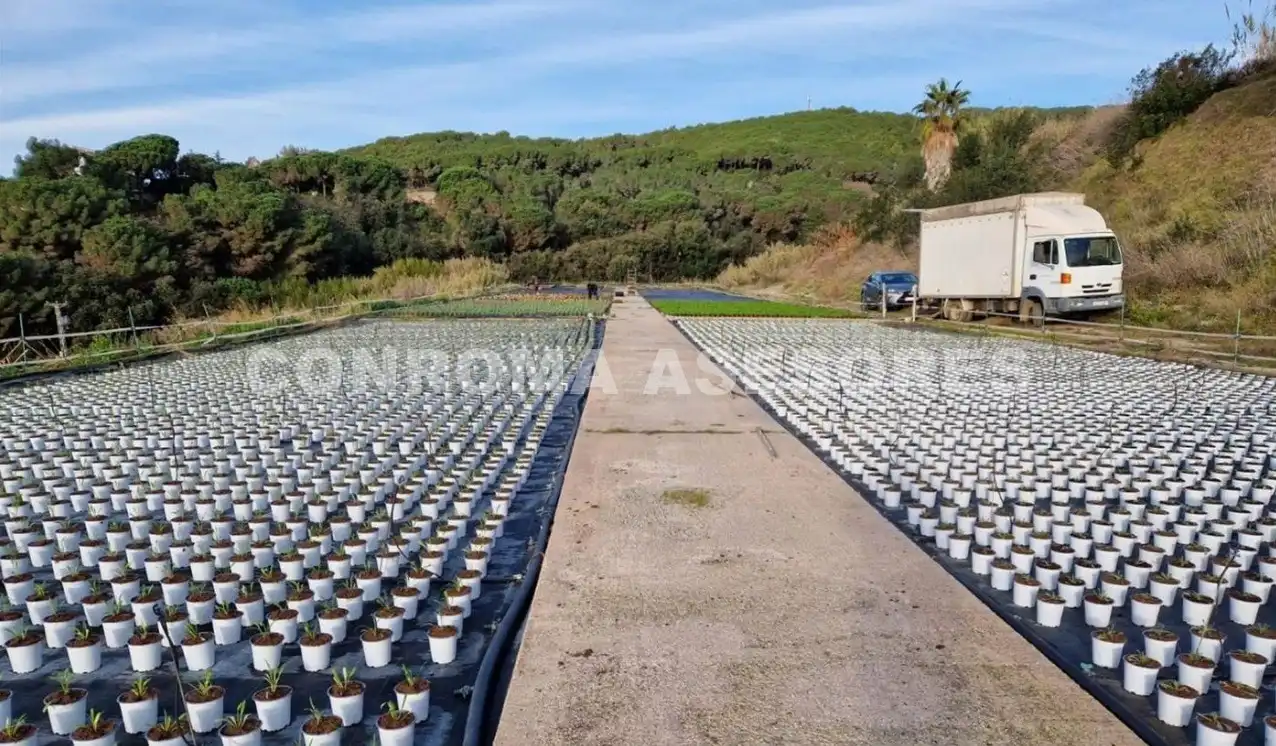 Terrain rustique à vendre à Sant Cebrià de Vallalta, imagen 4