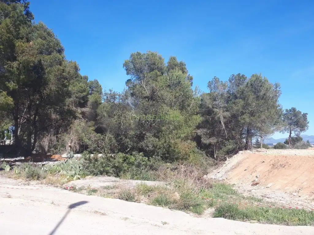 Terreno residencial en venta en Alberic, imagen 2