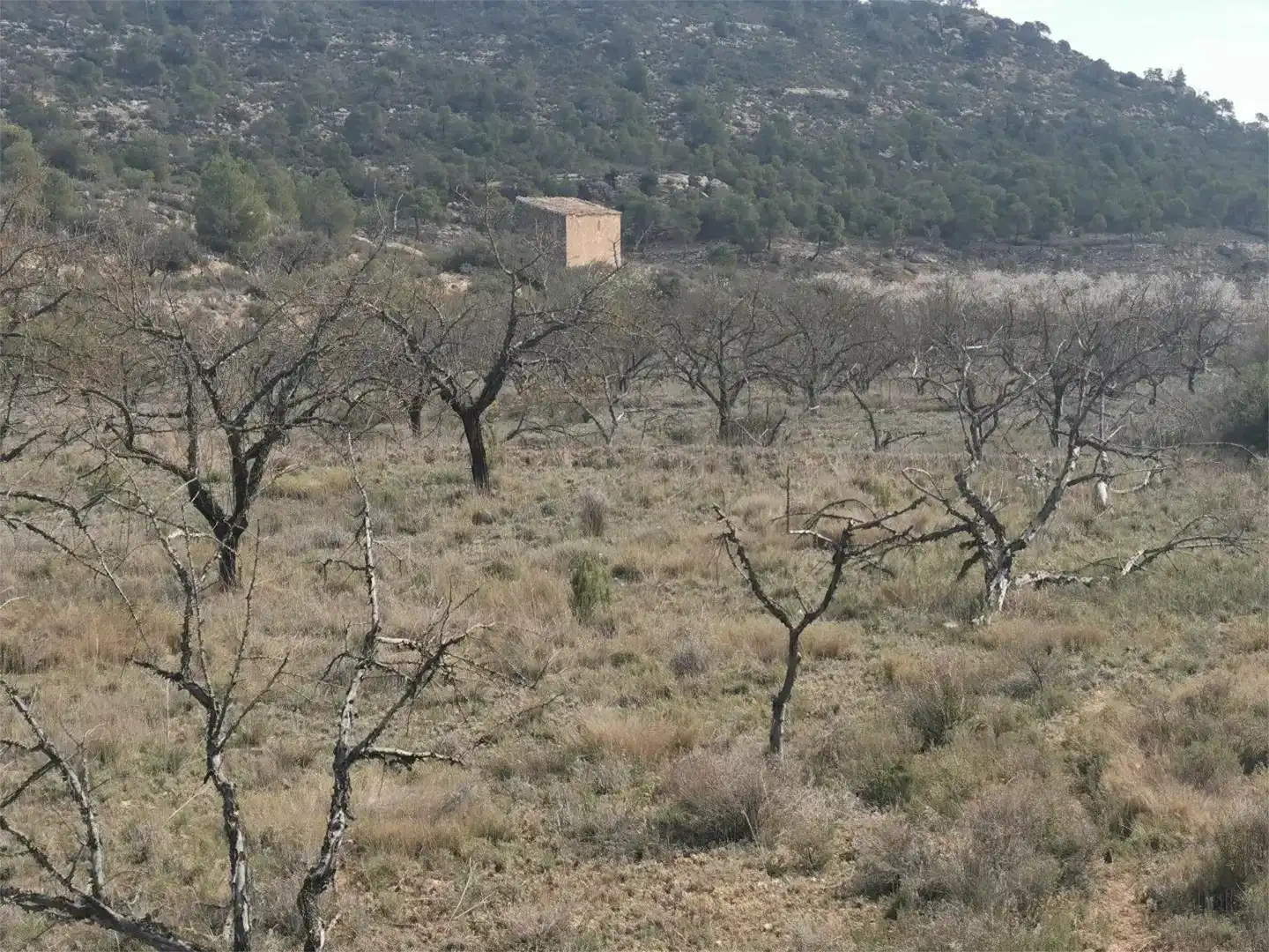 Finca rústica en venda en Nonaspe