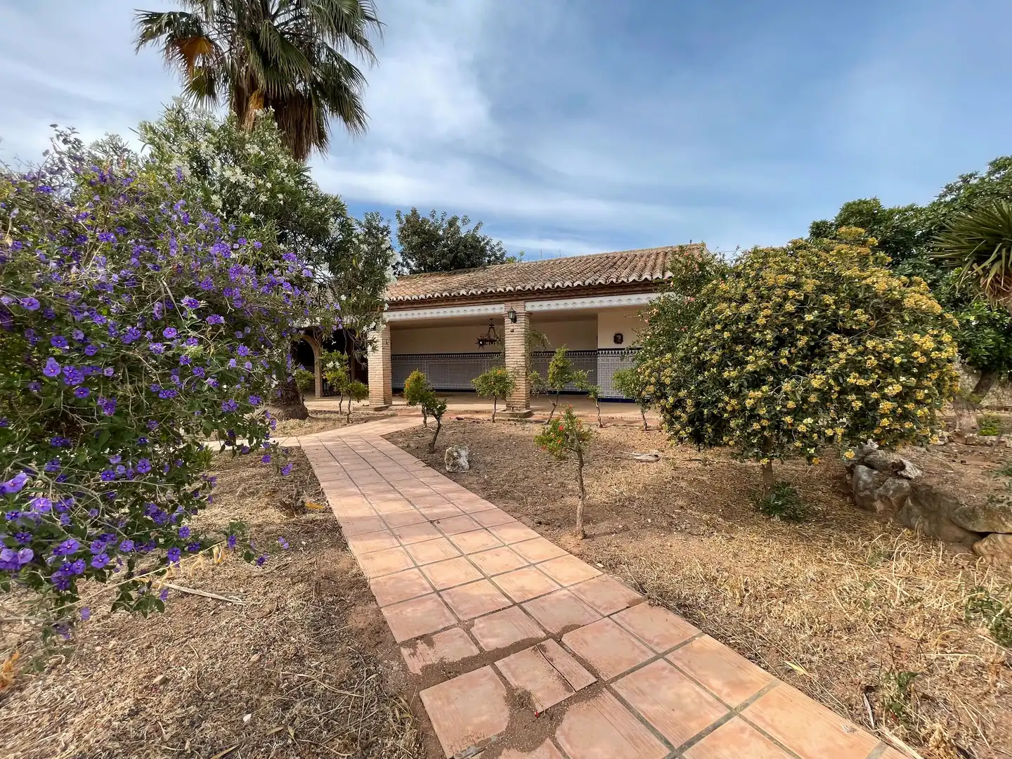 Jardín de Finca rústica en venta en Antequera con Jardín privado, Piscina y Internet