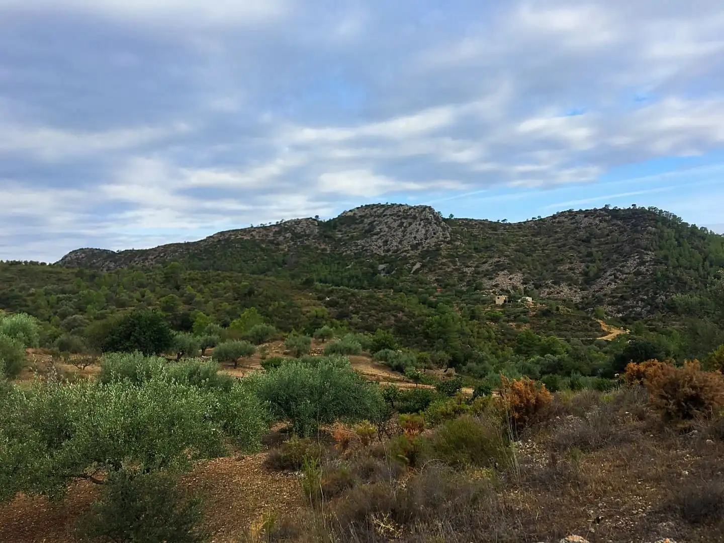 Finca rústica en venda en Benifallet