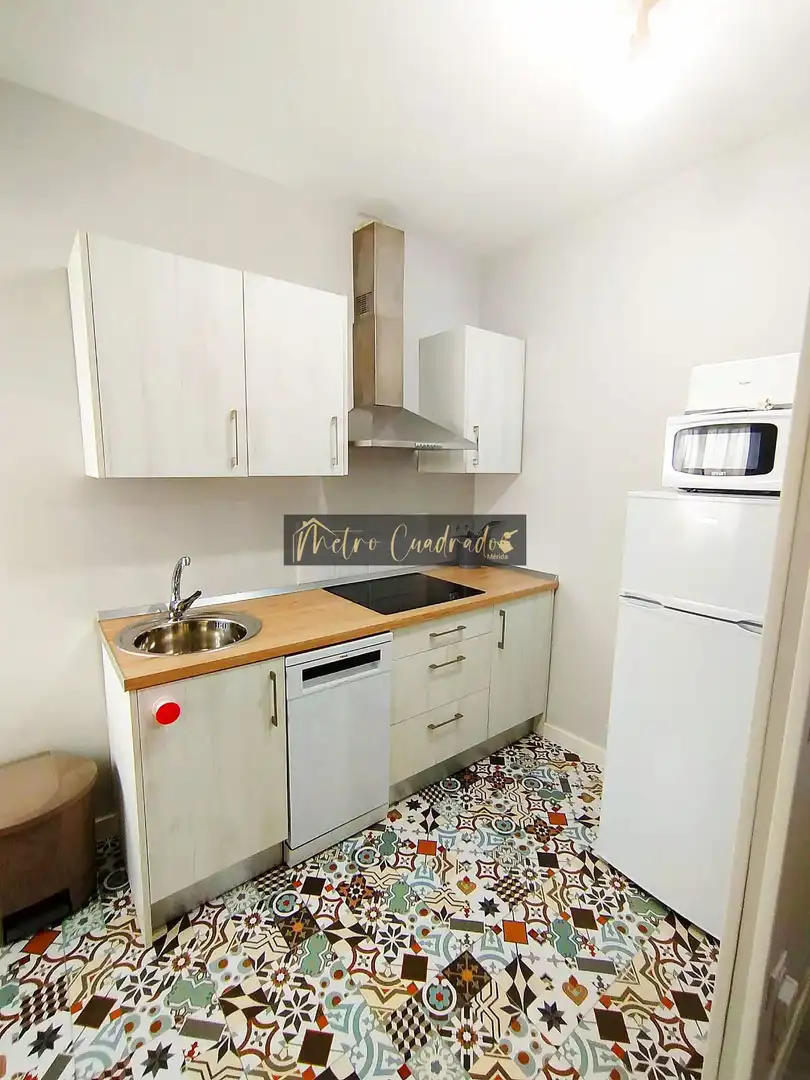 Cocina de Piso de alquiler en Mérida con Aire acondicionado y Amueblado