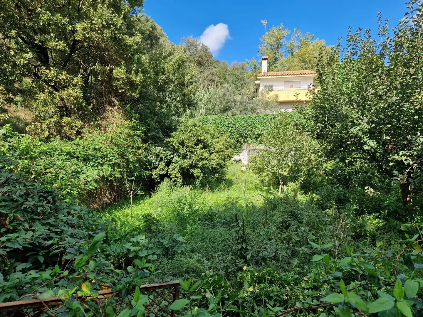 Lands and plots for sale in Can Massuet del Far, imagen 5