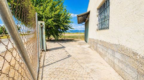 Photo 5 of Houses for sale in Barrio Sta. Agueda, Catral, Alicante