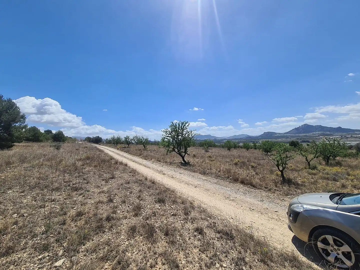 Rural land for sale in Las Tiesas, imagen 2