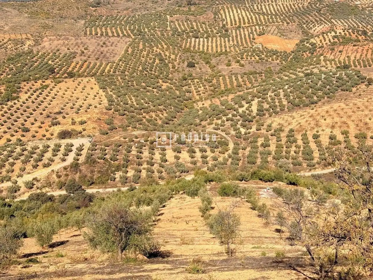 Residential land for sale in Diseminados, imagen 2