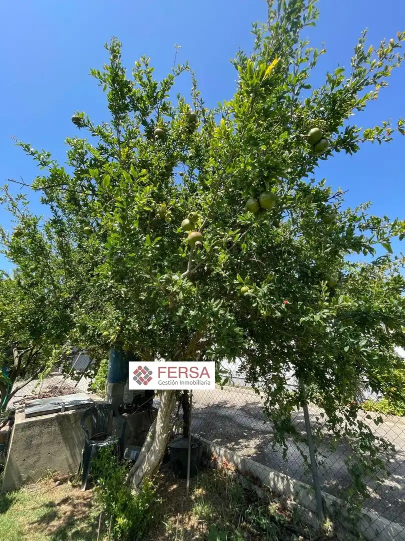 Casa o xalet en venda en El Puerto de Santa María amb Aire condicionat, Calefacció i Jardí privat