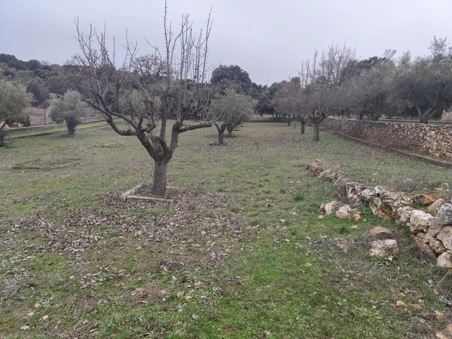 Terrenos y solares en venta en Hontoba, imagen 10