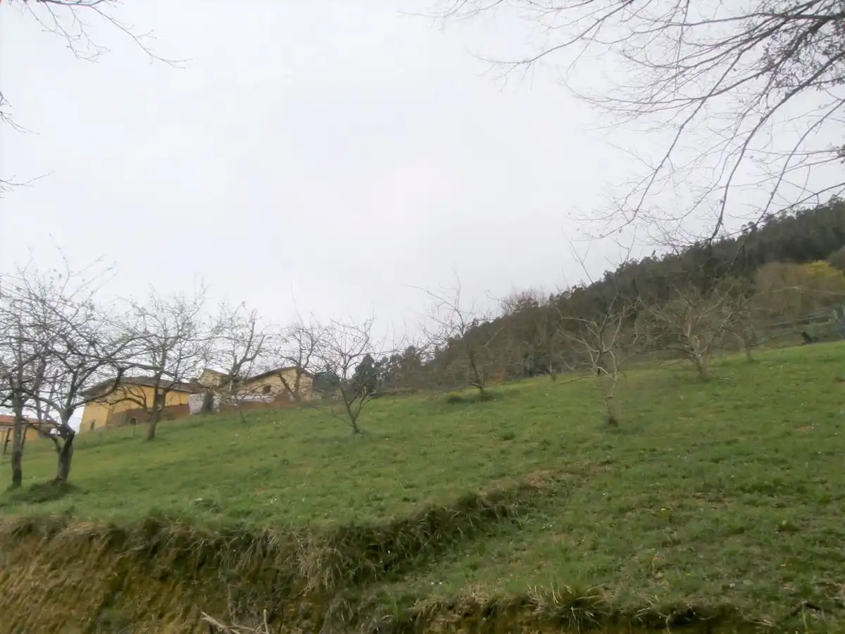 Terreny residencial en venda a Candamo, imagen 8