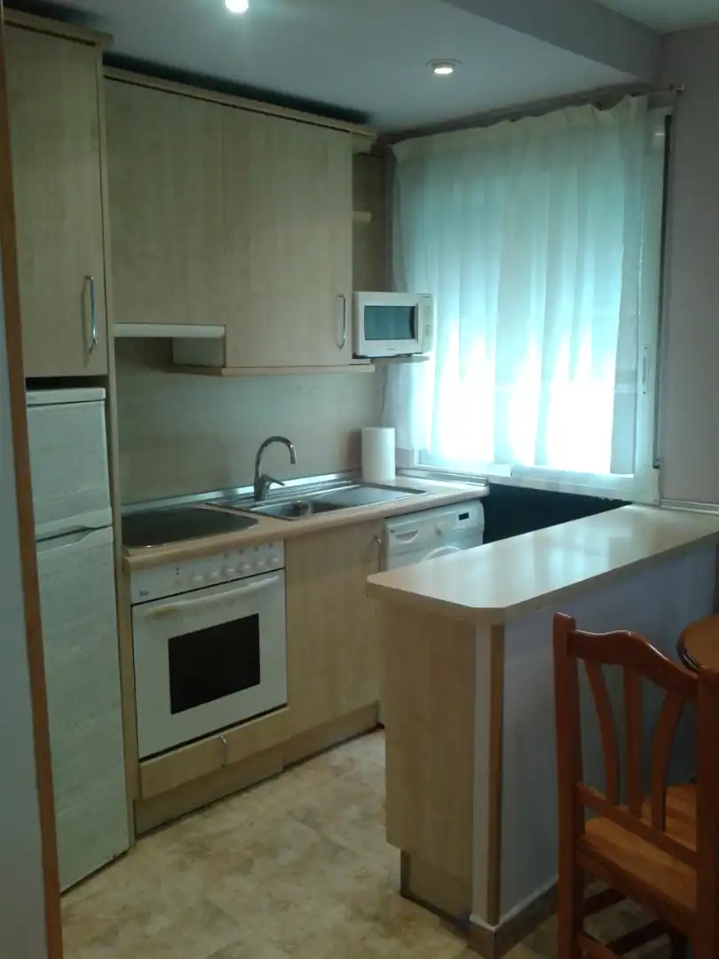 Cocina de Piso de alquiler en Zaragoza con Calefacción, Amueblado y Horno