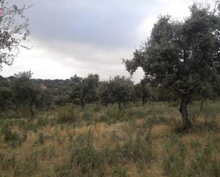 Finca rústica en venda en Alcaracejos