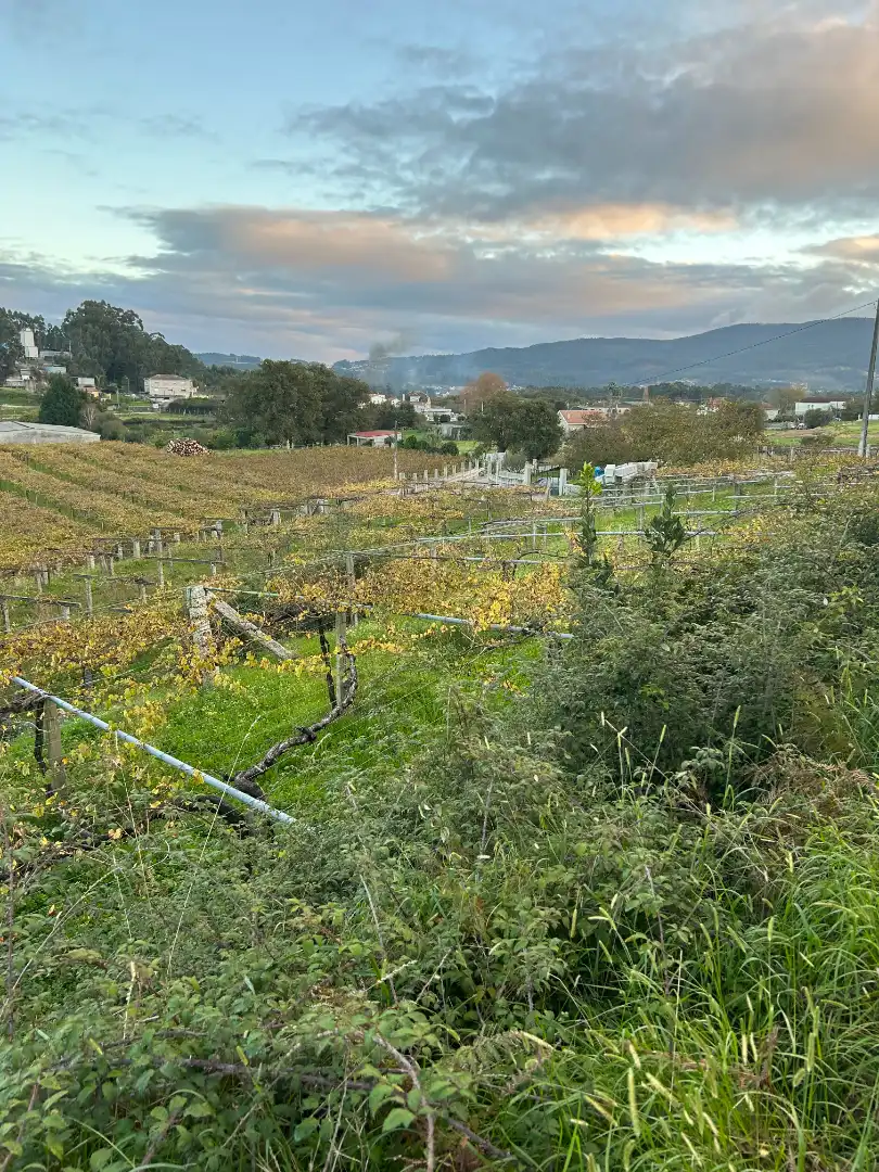 Terreni e lotti in vendita a Lugar Vilanoviña-Paradela, imagen 5