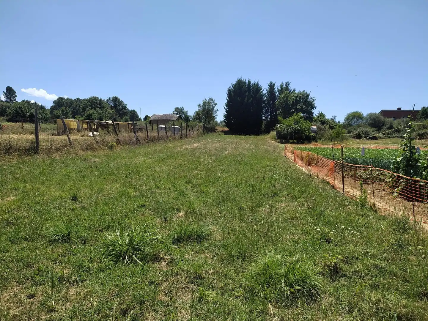 Terreni e lotti in vendita a Cabañas Raras