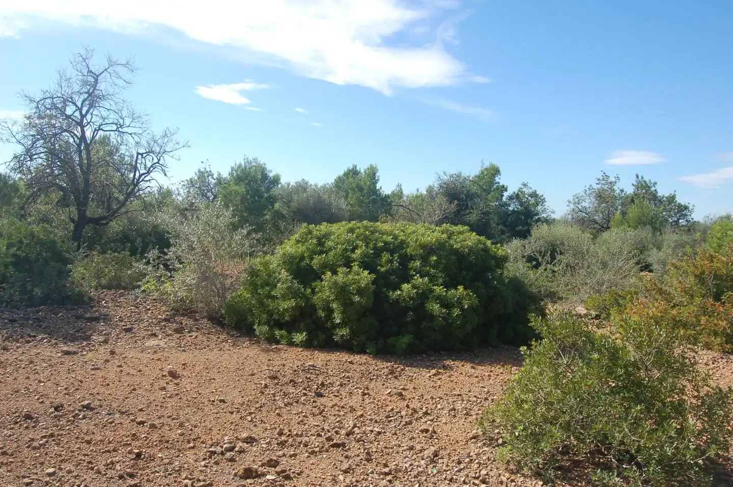 Terreny rústic en venda a Partida La Bassa Fornos, imagen 20