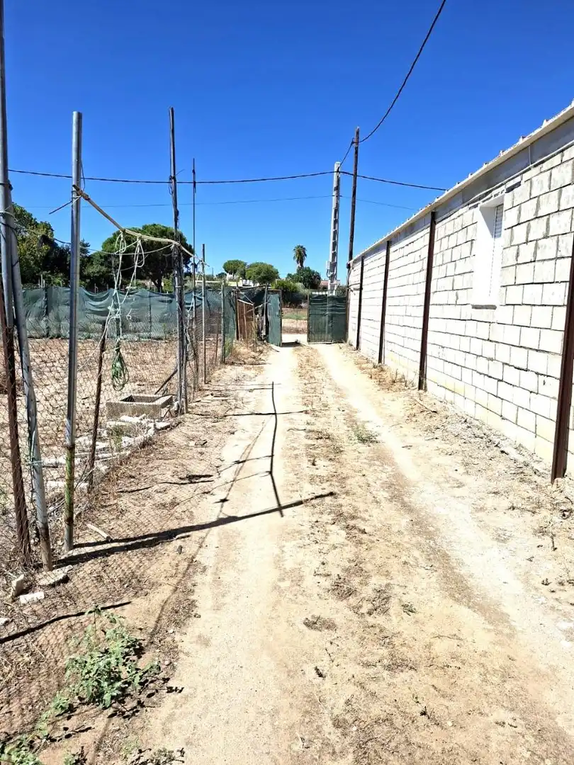 Vista exterior de Finca rústica en venta en Almensilla con Trastero