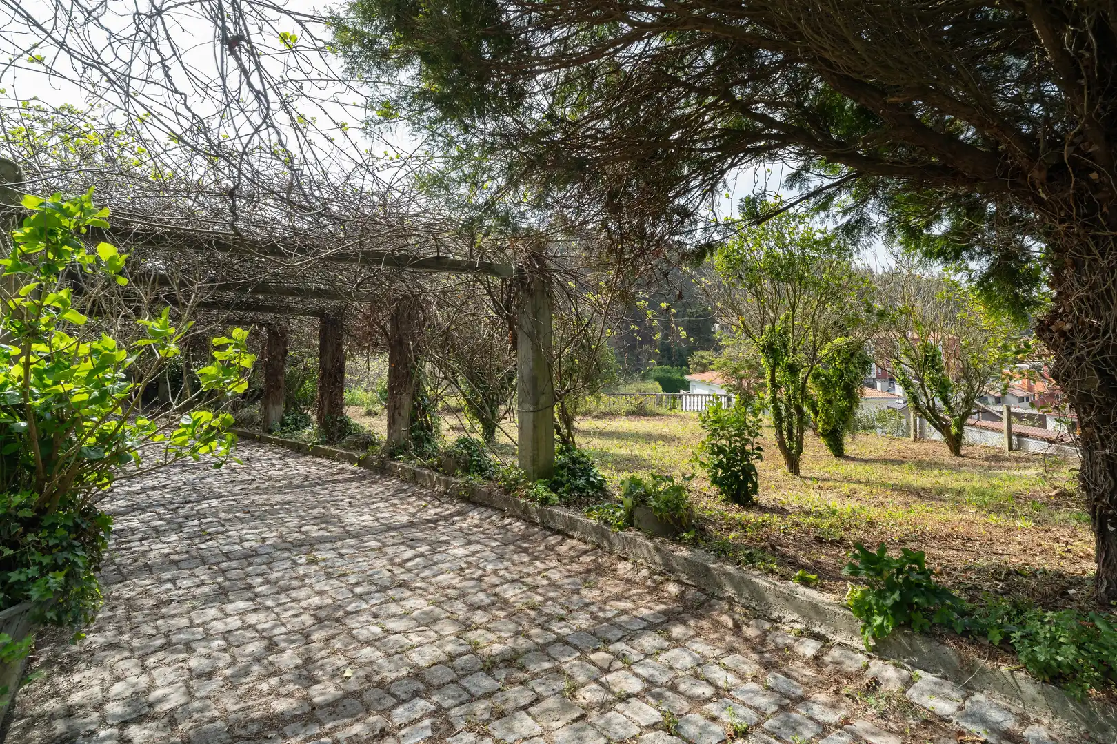 Jardí de Residencial en venda en Oleiros