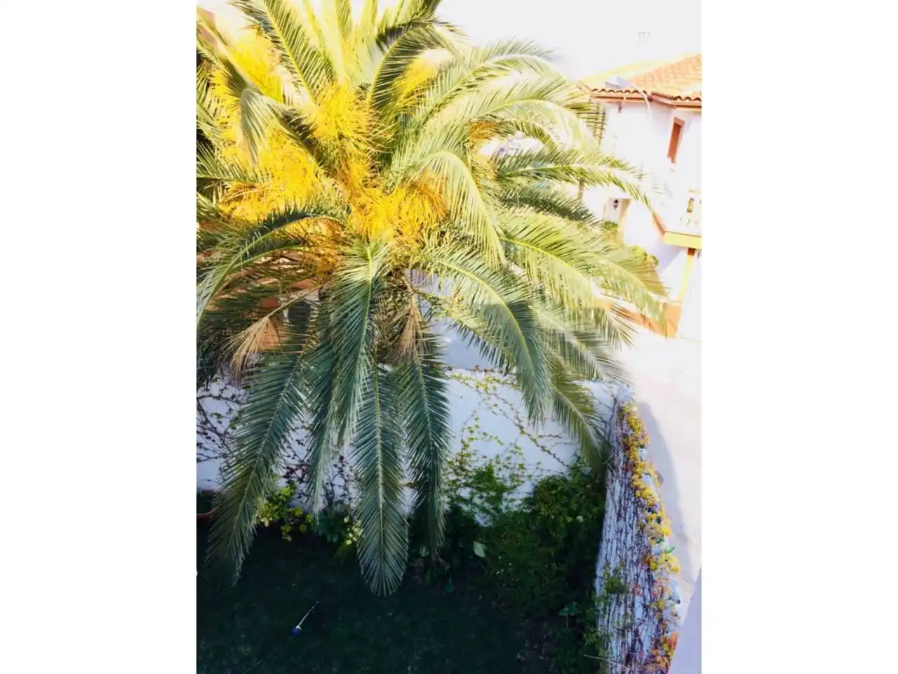 Jardí de Casa o xalet en venda en Baza amb Jardí privat