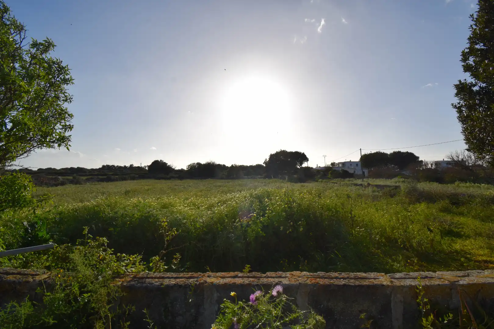 Industriegrundstück zum Verkauf in Ciutadella
