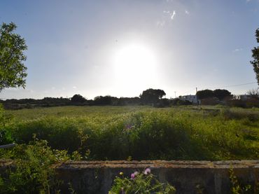 Terreny industrial en venda a Ciutadella