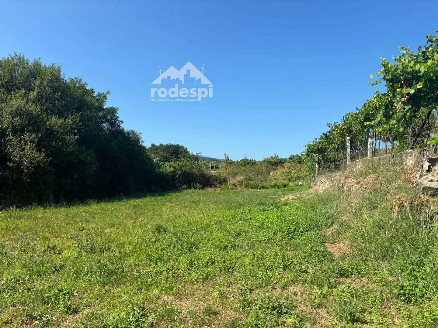 Houses for sale in Arbo