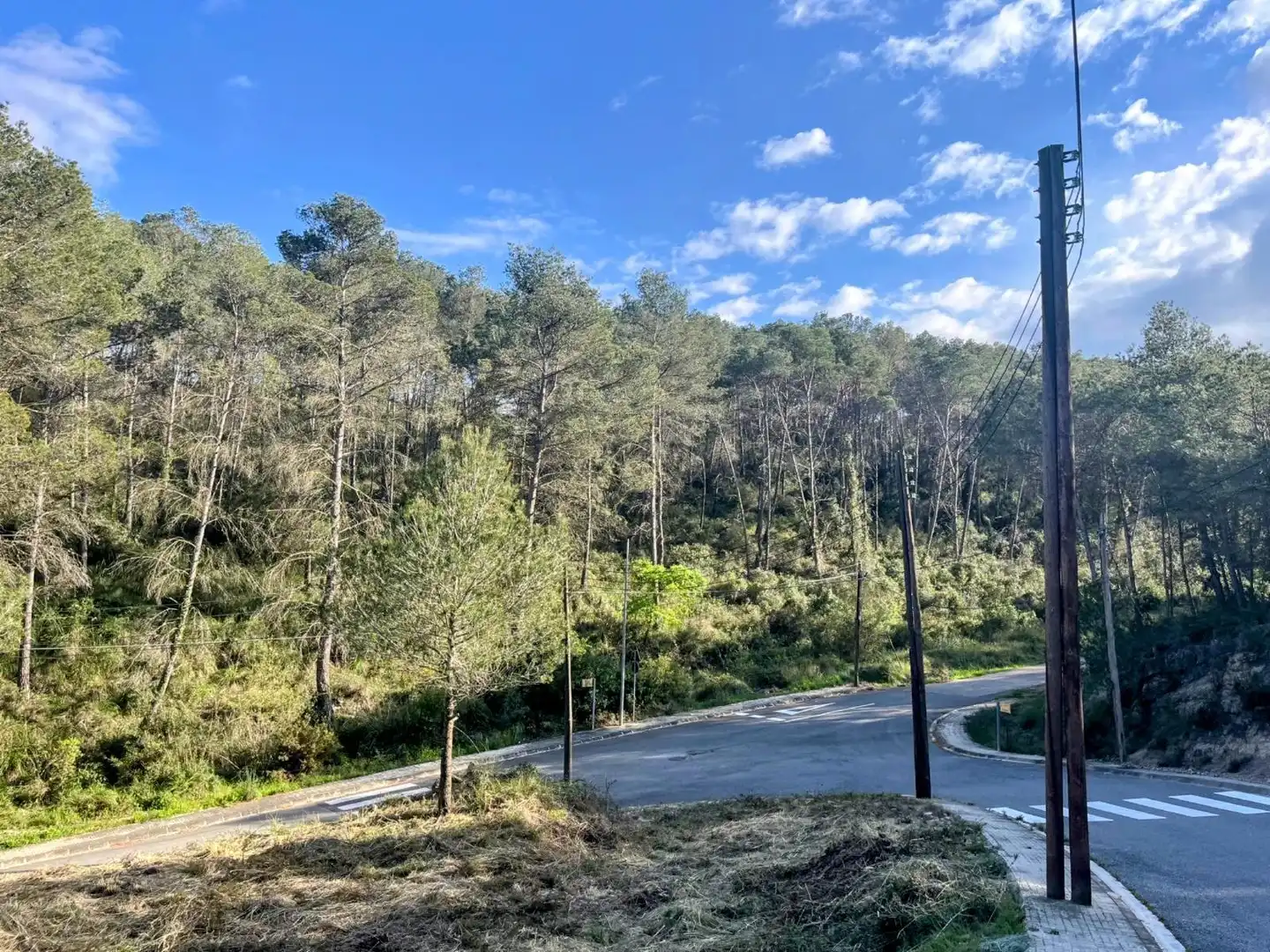 Terreno residencial en venta en Canyelles, imagen 8
