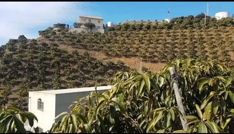 Exterior view of Houses for sale in Vélez-Málaga  with Terrace and Swimming Pool