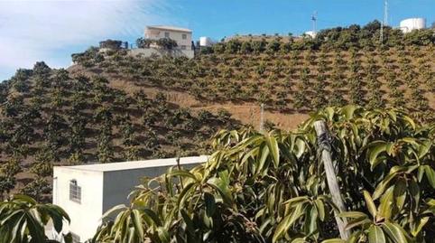 Foto 5 de Casa o xalet en venda a Capuchinos - Los Olivos, Málaga