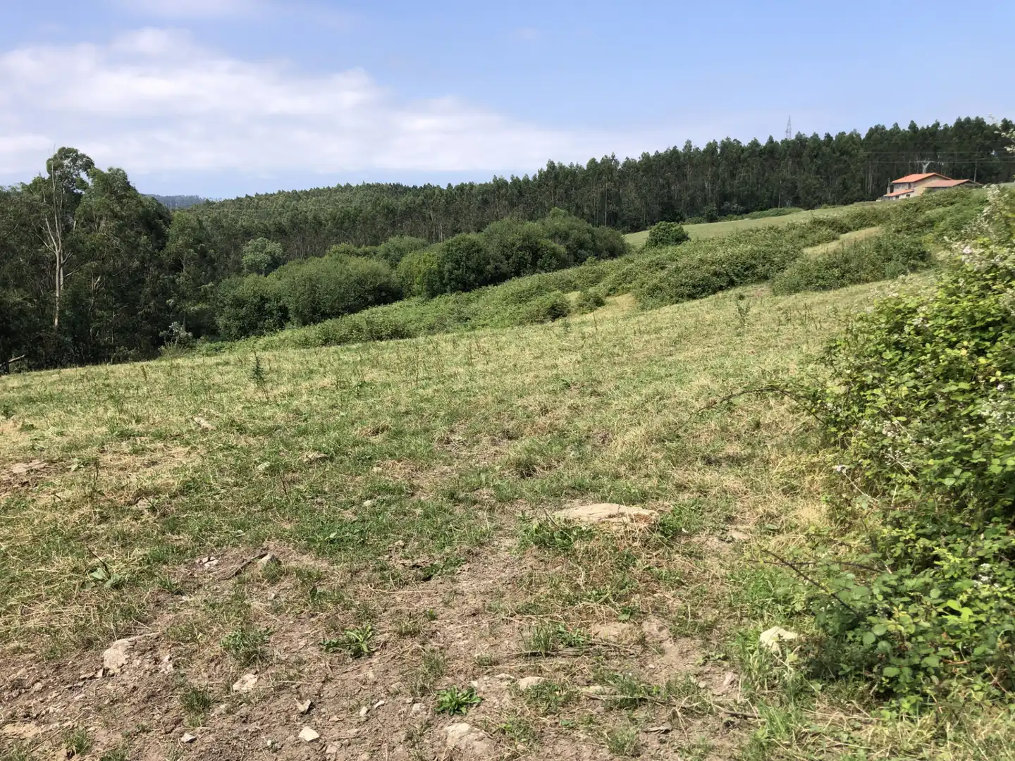 Finca rústica en venta en N/A, -1, Villaescusa (Cantabria)