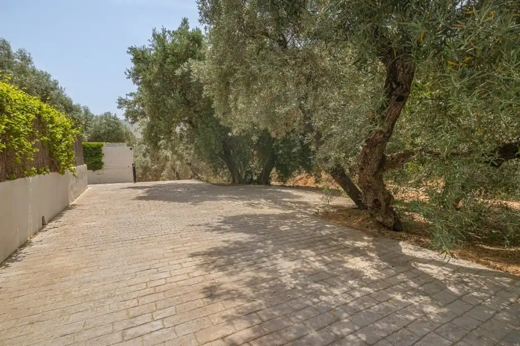 Casa rústica amb terrassa en venda a Villanueva del Trabuco, imagen 4