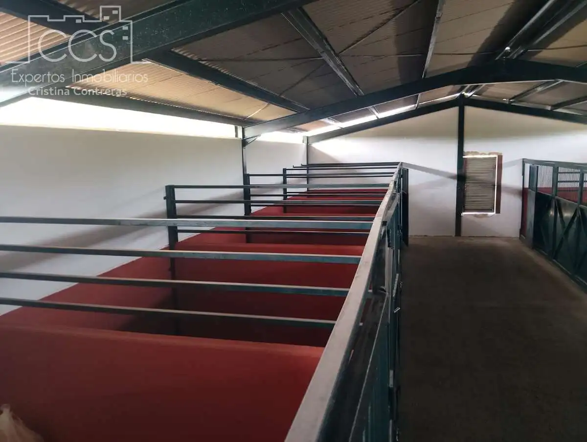 Finca rústica en venda en Pilas