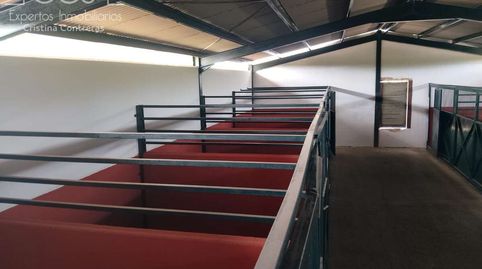 Foto 4 de Finca rústica en venda a Pilas, Sevilla